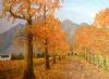 "Franschhoek Autumn Splendour"