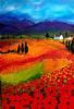 "Colorful Landscape"