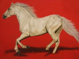 "Galloping White Horse Through Red"