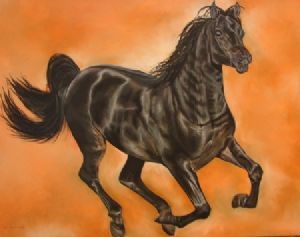 "Galloping Black Horse Through Orange"