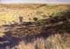 "Karoo Landscape"