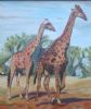 "Giraffes"