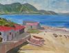 "Hermanus"