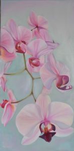 "Pink Orchid"