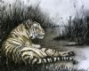 "Resting Tiger"