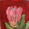 "Fynbos 85, Protea Eximia"