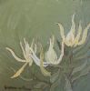 "Fynbos 88, Leucadendron"