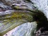 "Tree Stump"