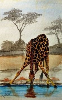 "Giraffe @ Waterhole"