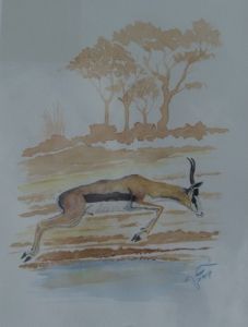 "Springbok over Waterhole"