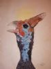 "Pearl Pied Damarensis"