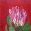 "Fynbos 82, Protea Compacta"