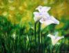 "Lilies"