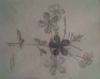 "Plumbago"