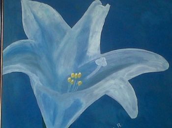 "Lily"