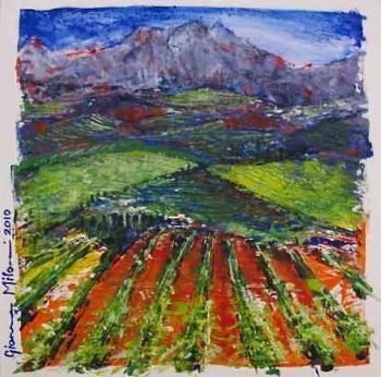 "Cape Winelands (1)"