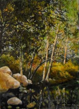 "Forest"