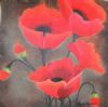 "Red Poppies"