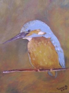 "Half-Collared Kingfisher"