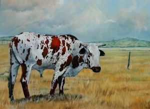 "Nguni #7"