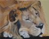 "Sleeping Lion"