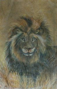 "African Male Lion"