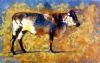 "Nguni Bull"