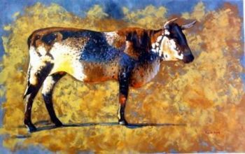 "Nguni Bull"