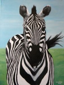 "Zebra"