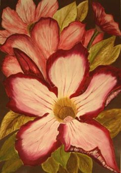 "Pink Impala Lily"