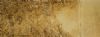 "Gold Dust"