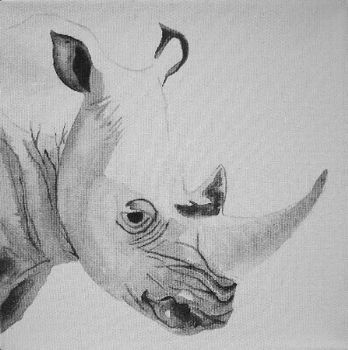 "Rhino"