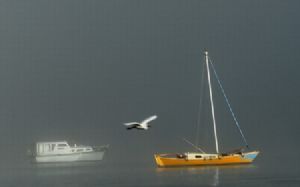 "Boat in the Mist"