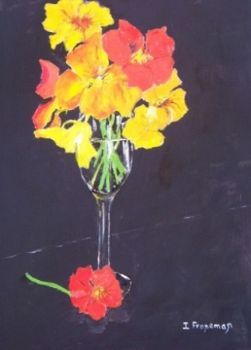 "Nasturtium Sunshine"