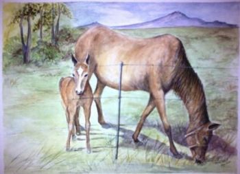 "Mare and Filly"