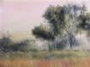 "Moremi Botswana"