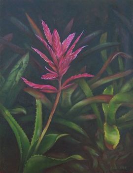 "Bromeliad 2"