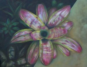 "Bromeliad 4"