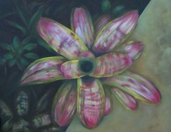 "Bromeliad 4"