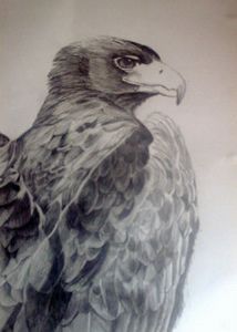 "Portrait of Black Eagle"
