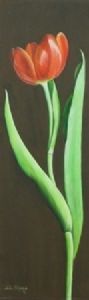 "Tulip"