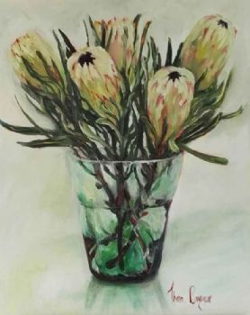"White Proteas"
