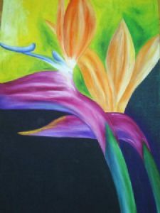 "Strelitzia"