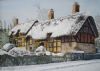 "Anne Hathaway's Cottage"