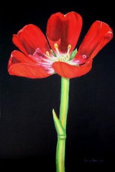 "Red Flower"