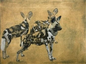 "Three Wild Dogs"