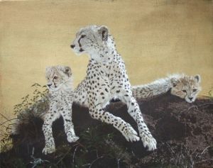 "Cheetah Family"