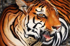 "Tiger"