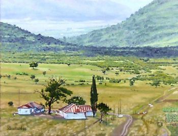 "Transkei Farm"