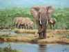 "Addo Elephant Waterhole"